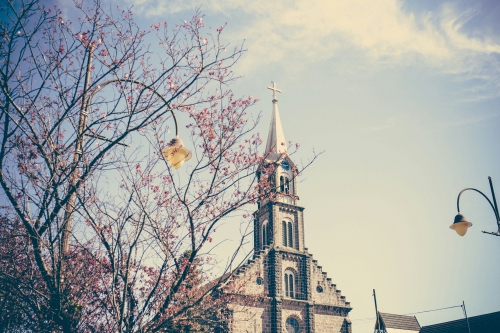 Crédito da foto: Foto de Tiago Emerick na Unsplash Gramado